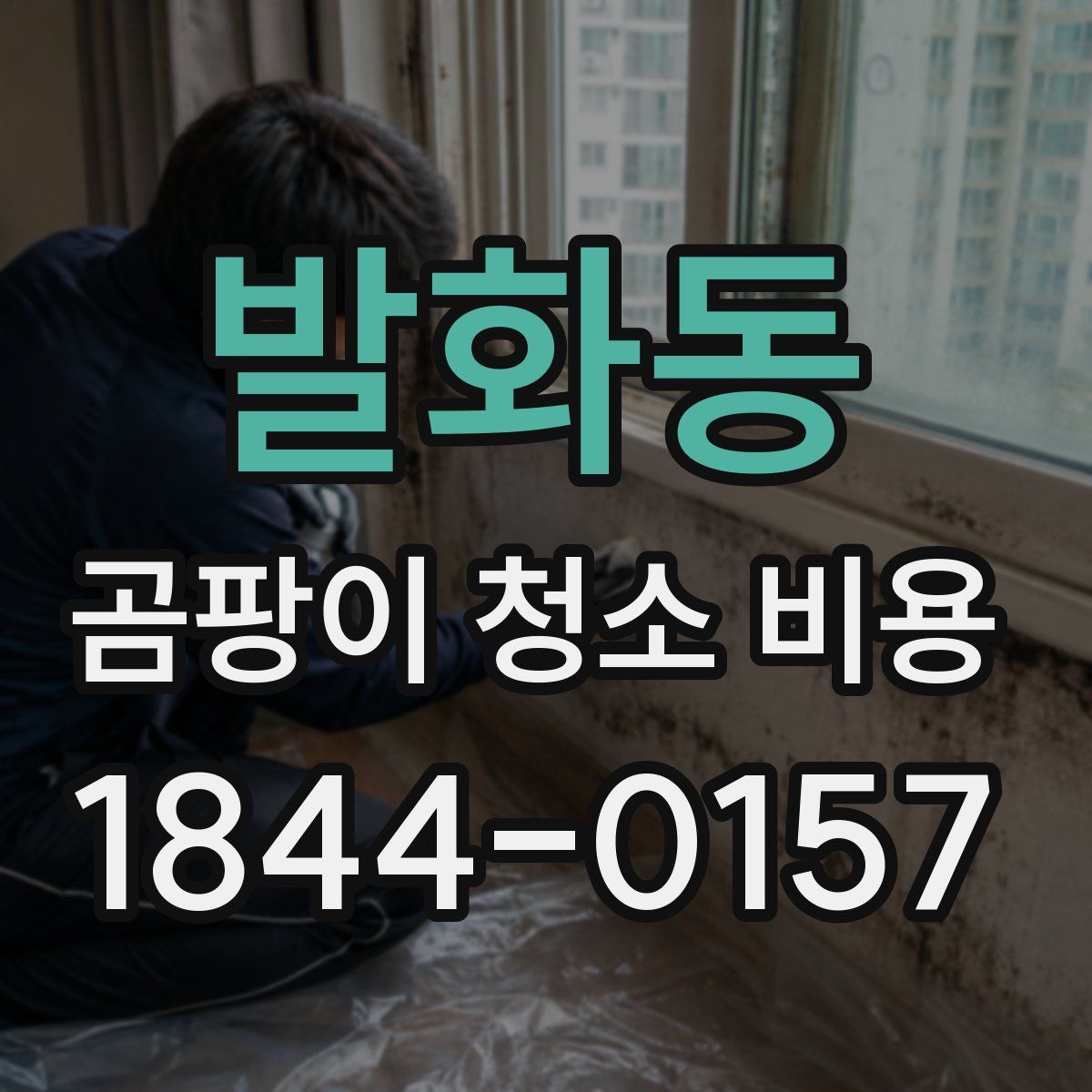 발화동 곰팡이 청소 비용