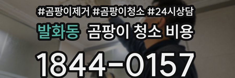 발화동 곰팡이 청소 비용