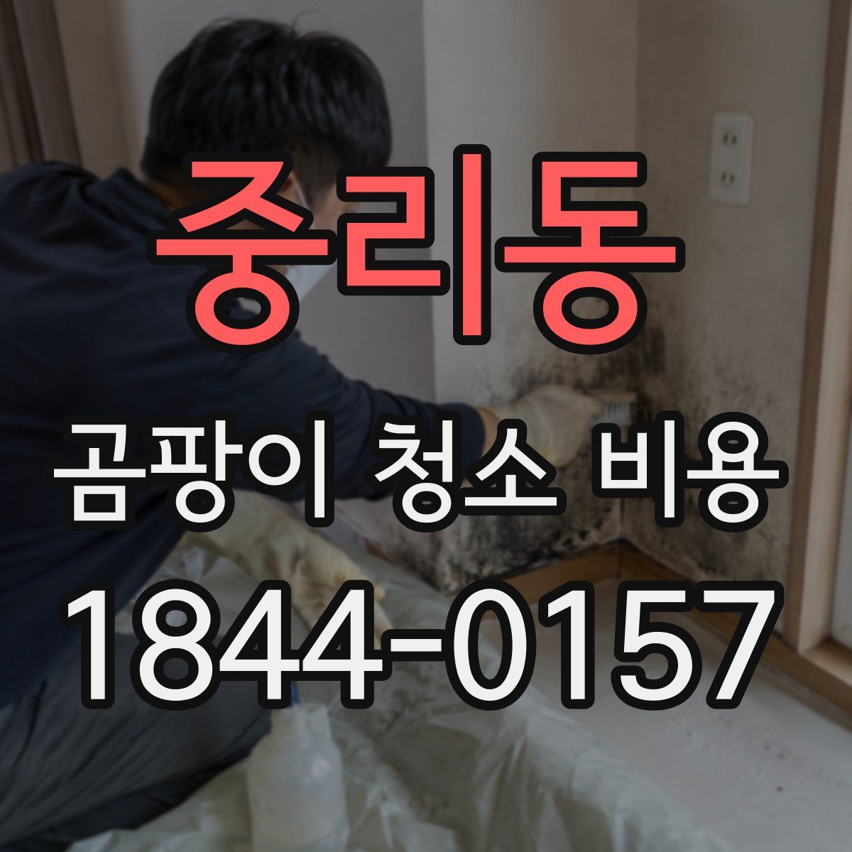 중리동 곰팡이 청소 비용