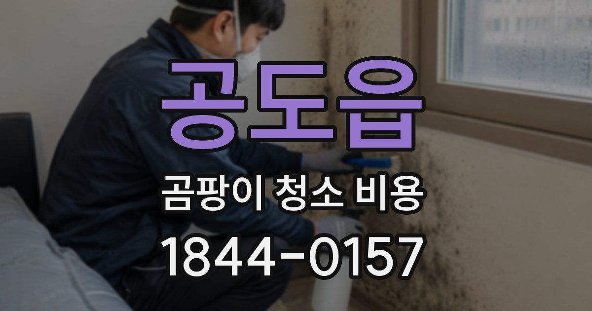 공도읍 곰팡이 청소 비용
