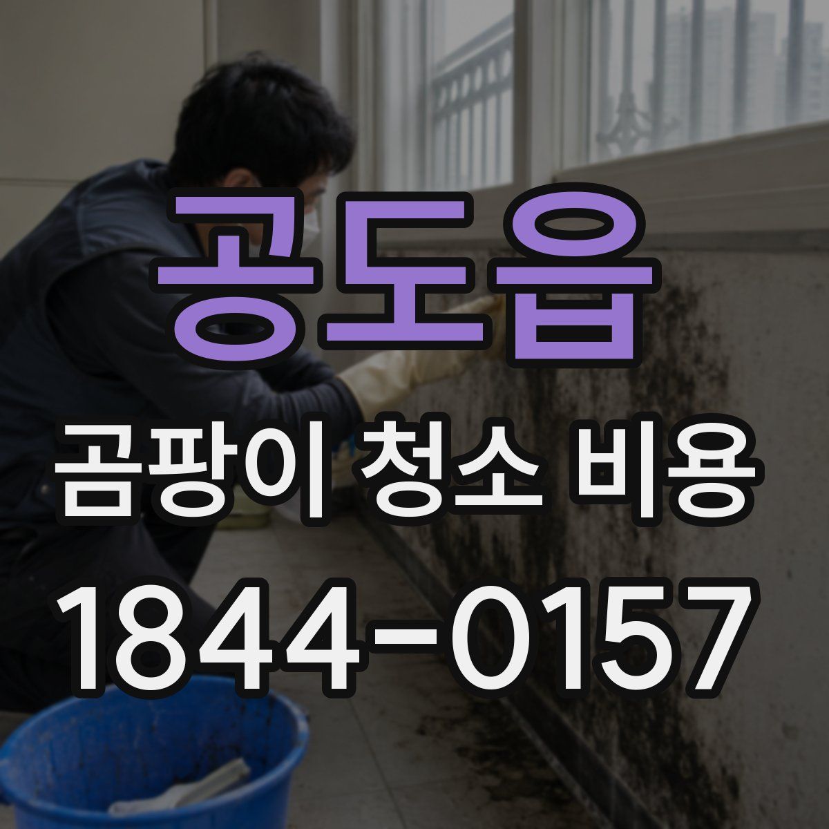 공도읍 곰팡이 청소 비용