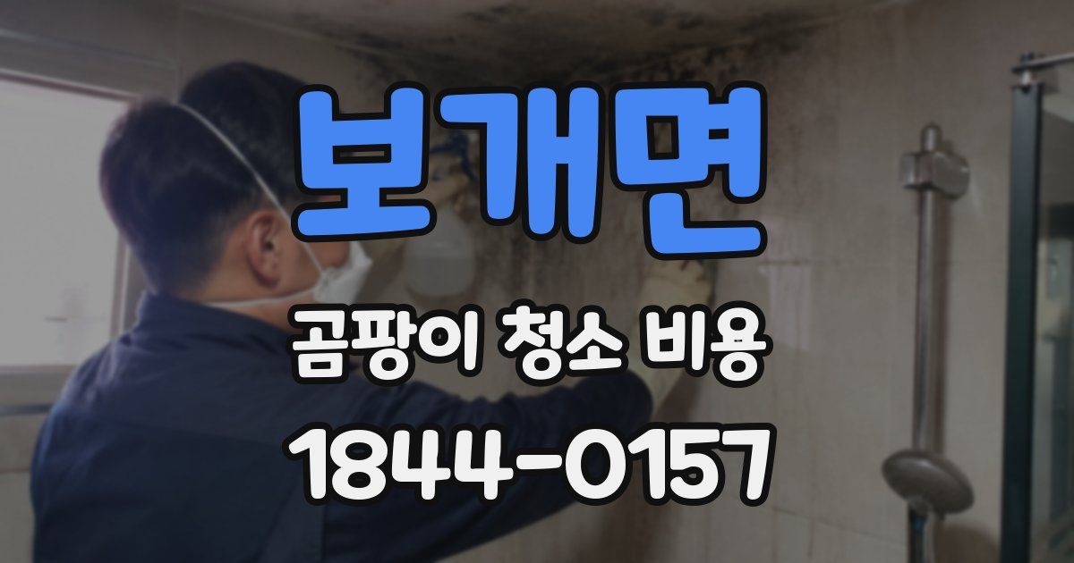 보개면 곰팡이 청소 비용