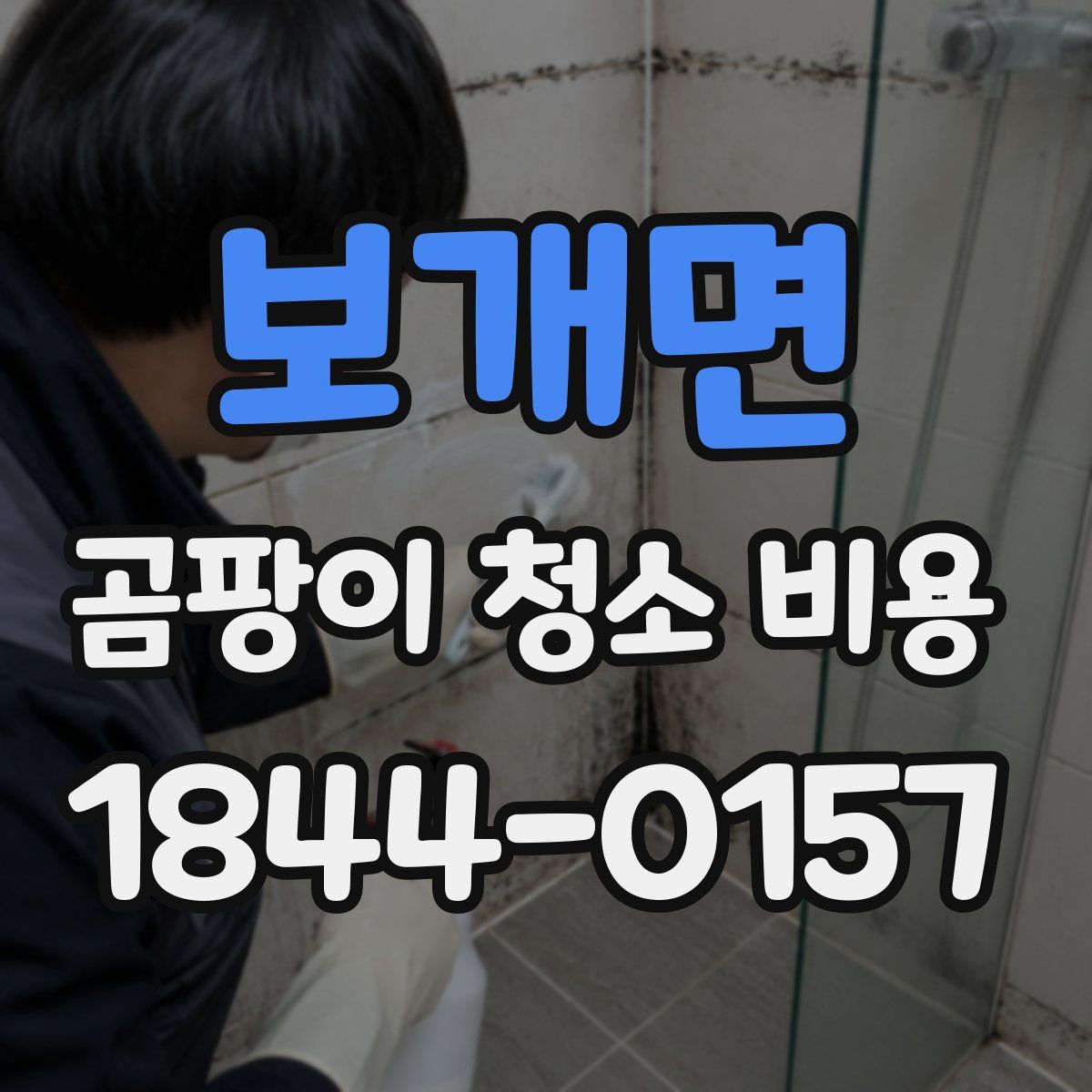 보개면 곰팡이 청소 비용