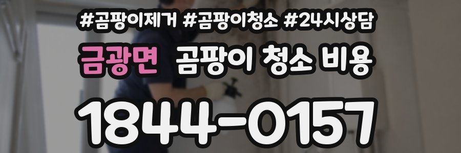 금광면 곰팡이 청소 비용