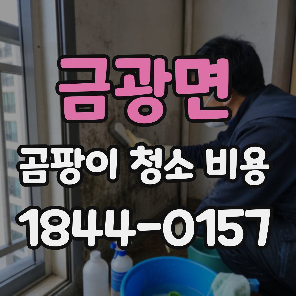 금광면 곰팡이 청소 비용