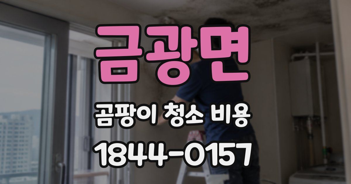 금광면 곰팡이 청소 비용
