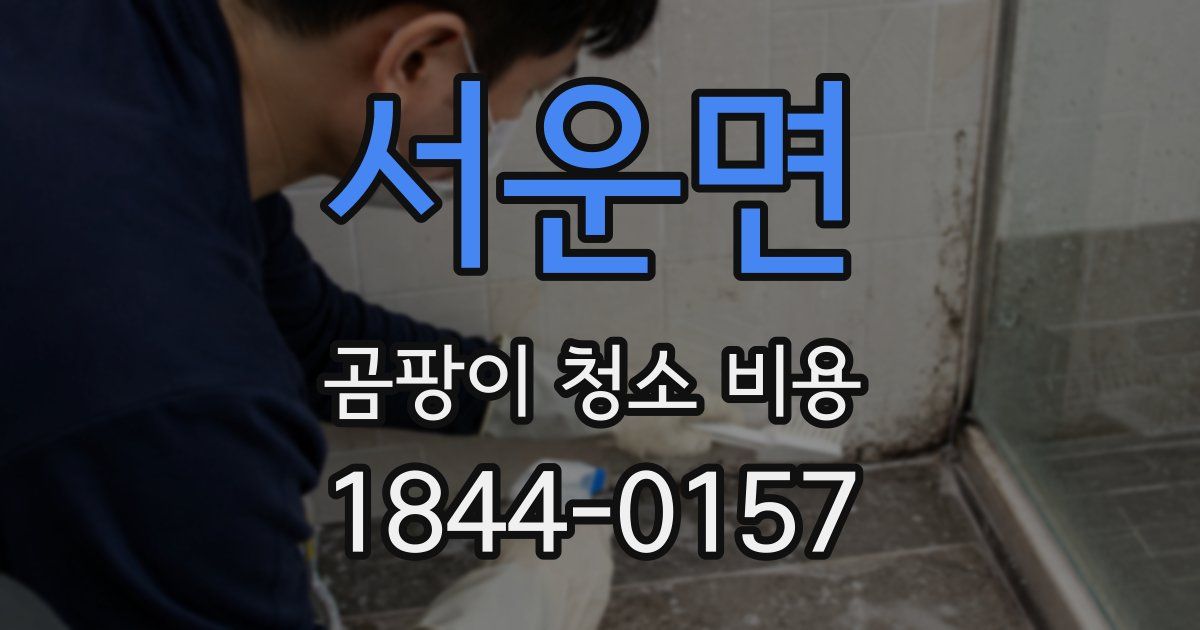 서운면 곰팡이 청소 비용