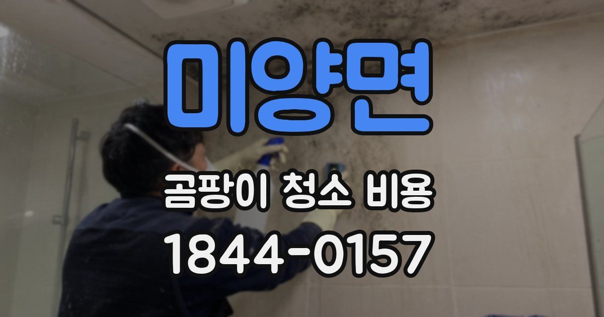 미양면 곰팡이 청소 비용