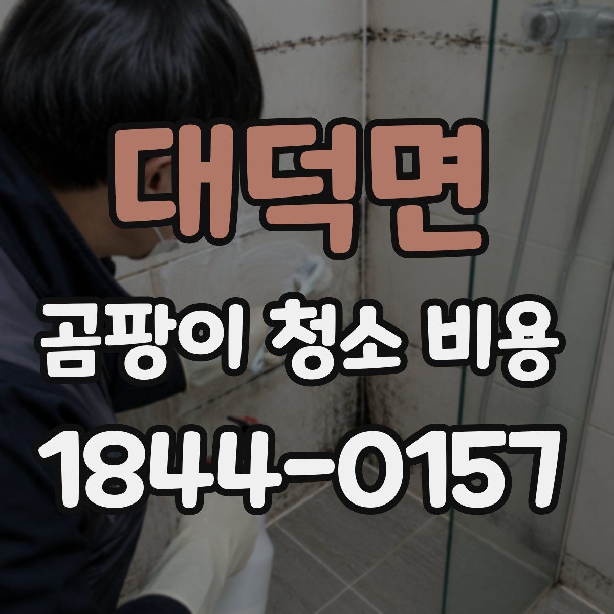 대덕면 곰팡이 청소 비용 청소 후 환기와 건조가 중요한 이유