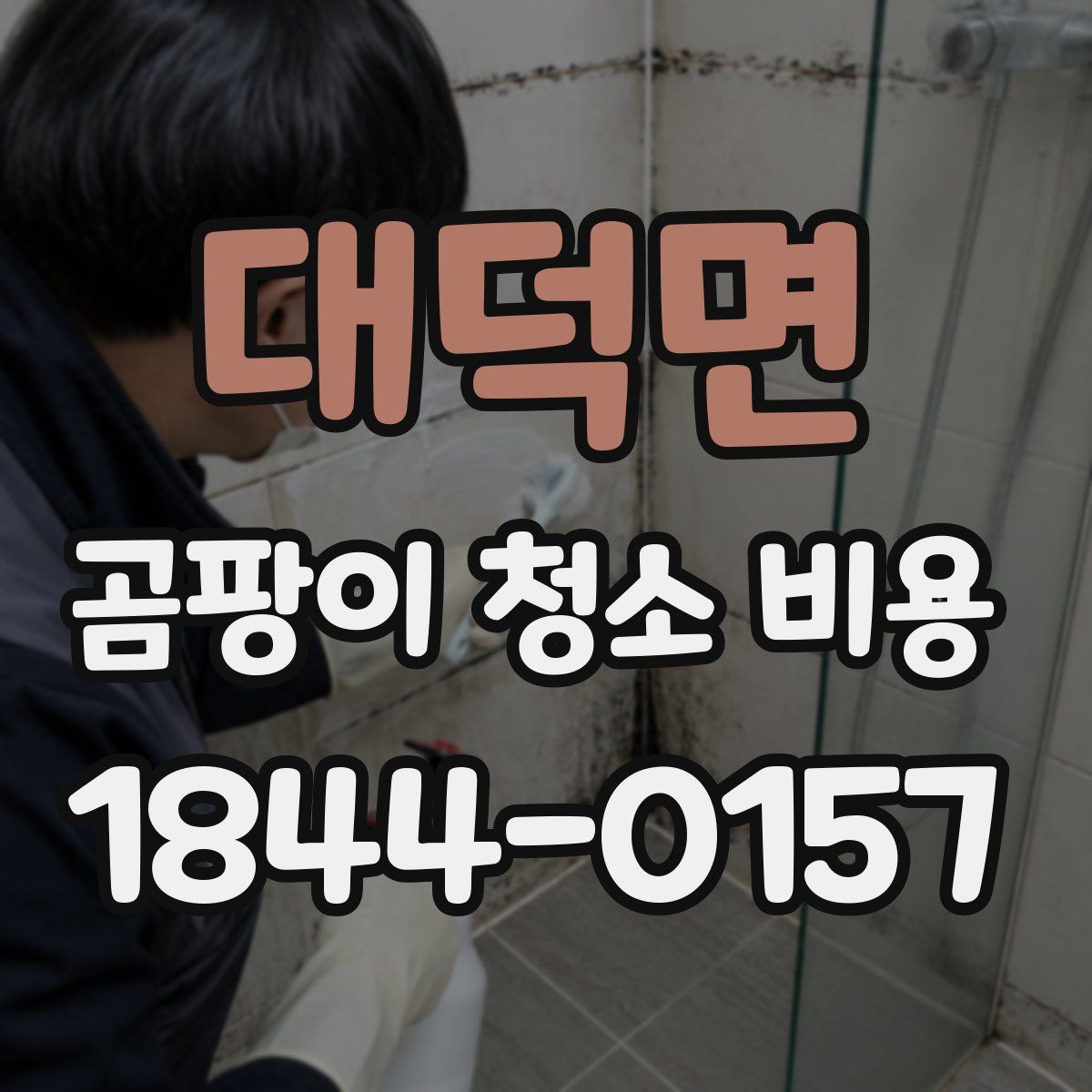 대덕면 곰팡이 청소 비용