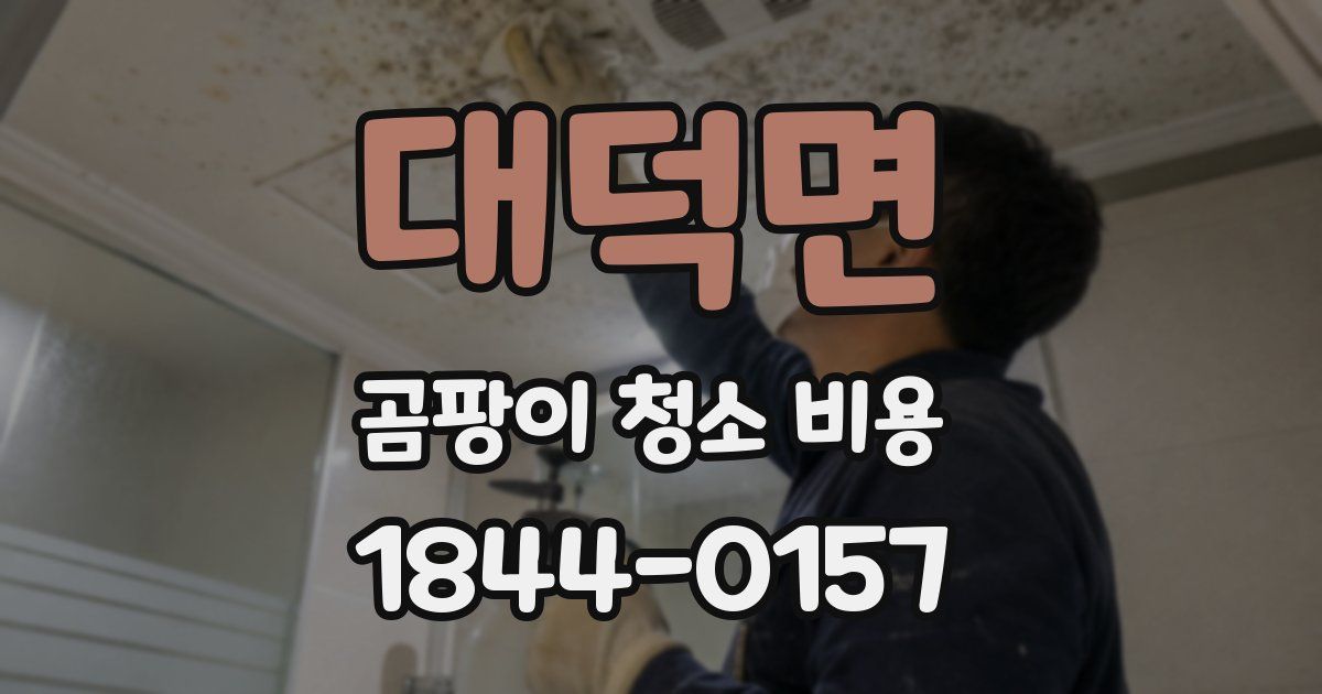 대덕면 곰팡이 청소 비용