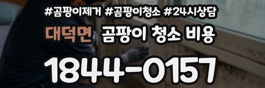 대덕면 곰팡이 청소 비용