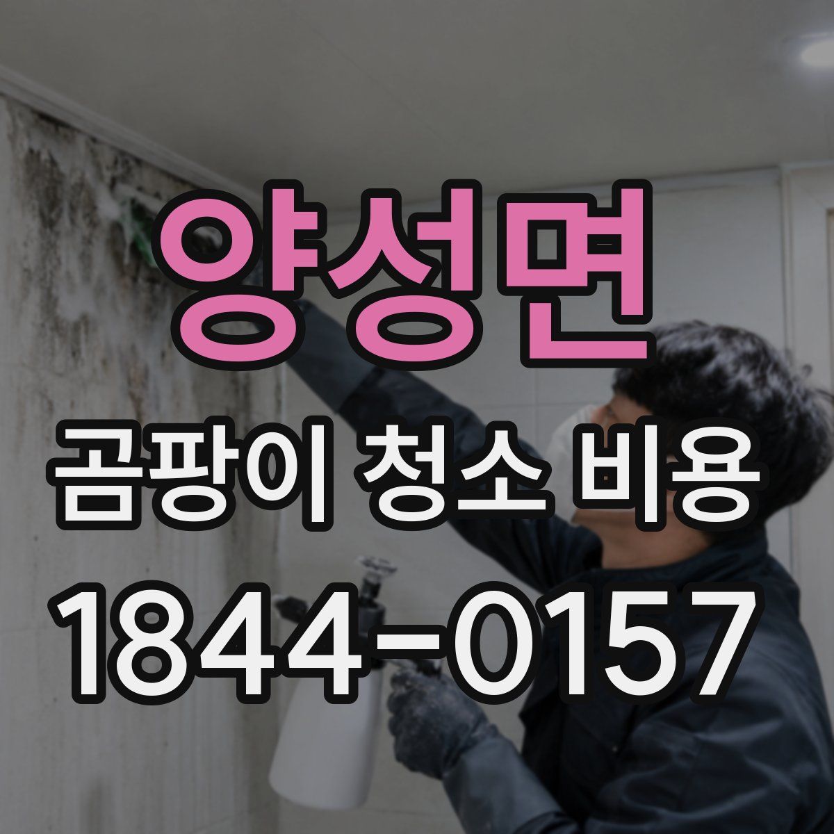 양성면 곰팡이 청소 비용