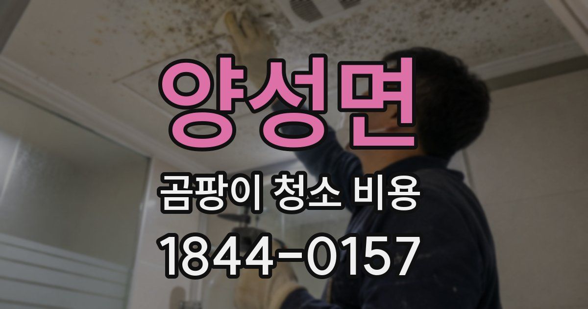 양성면 곰팡이 청소 비용