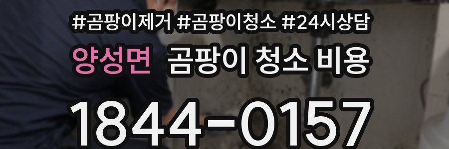 양성면 곰팡이 청소 비용