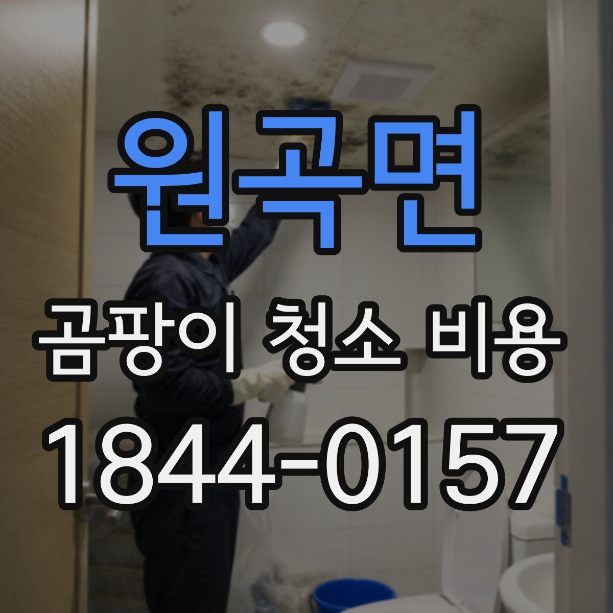 원곡면 곰팡이 청소 비용