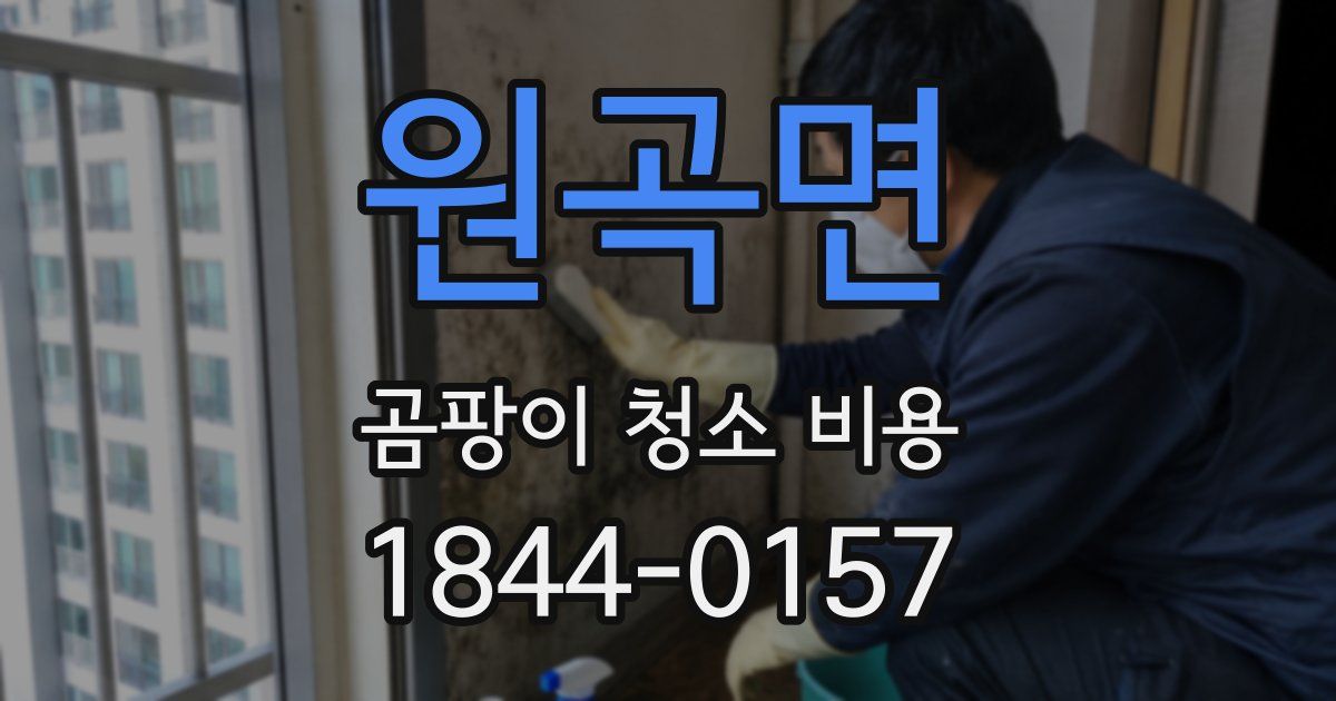 원곡면 곰팡이 청소 비용