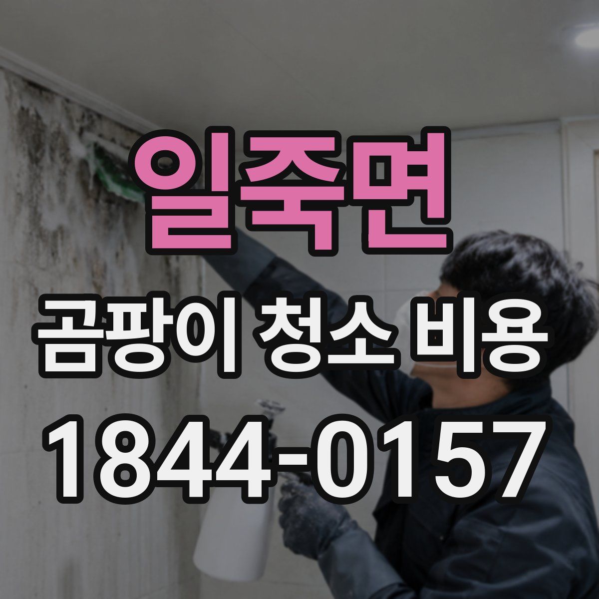 일죽면 곰팡이 청소 비용
