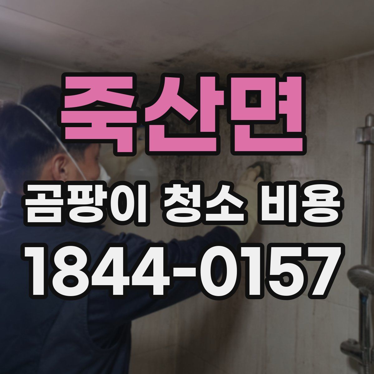 죽산면 곰팡이 청소 비용