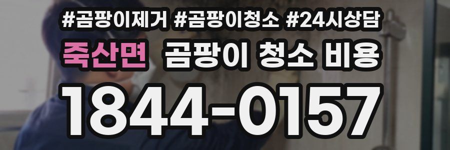 죽산면 곰팡이 청소 비용