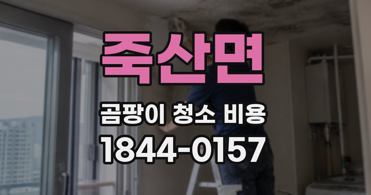 죽산면 곰팡이 청소 비용