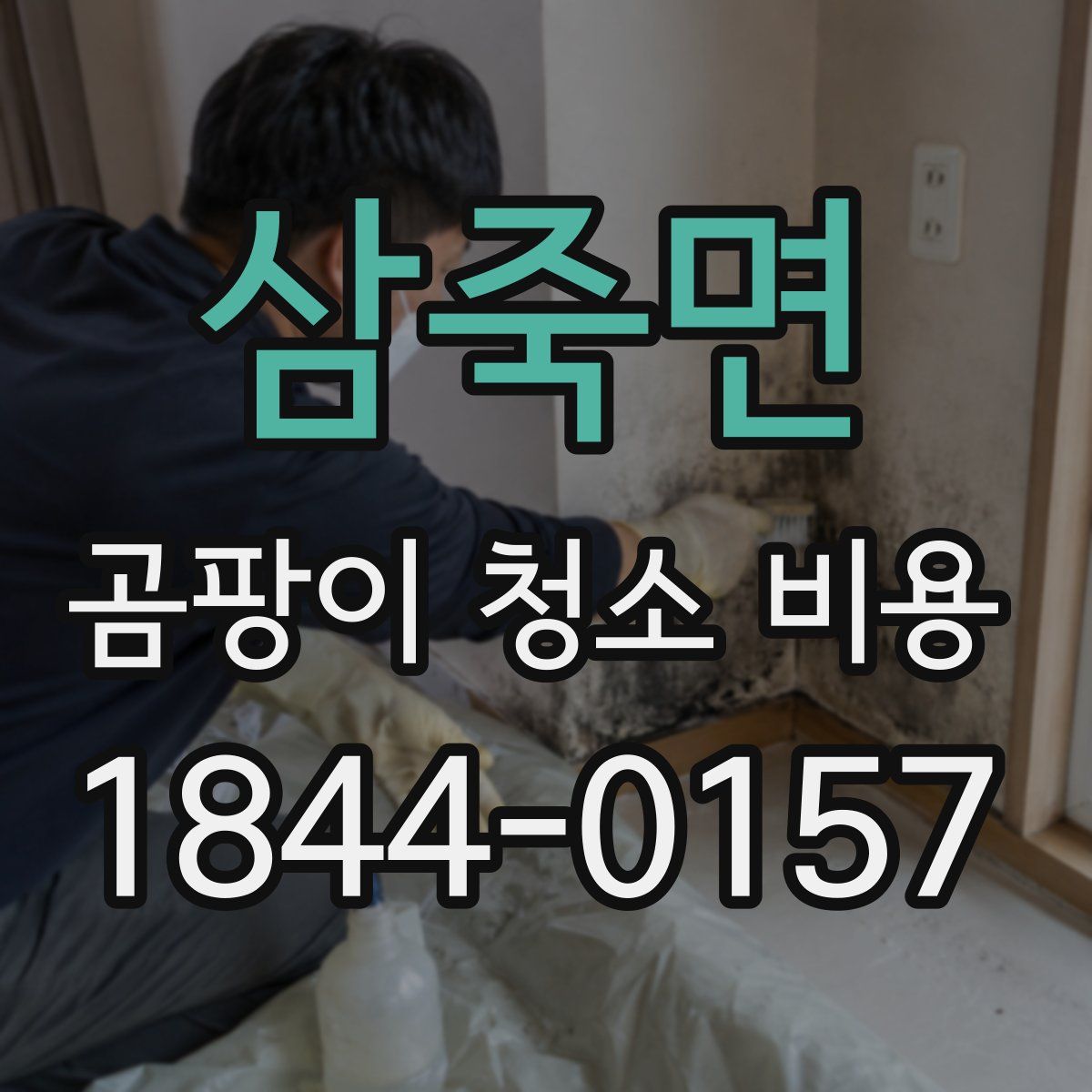 삼죽면 곰팡이 청소 비용