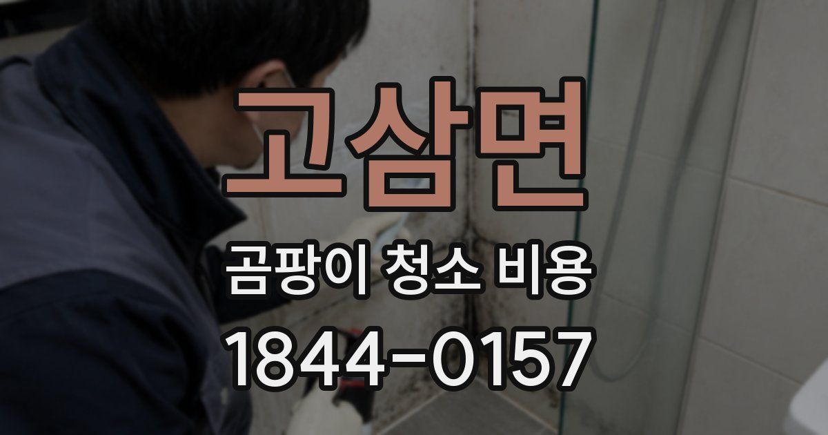 고삼면 곰팡이 청소 비용