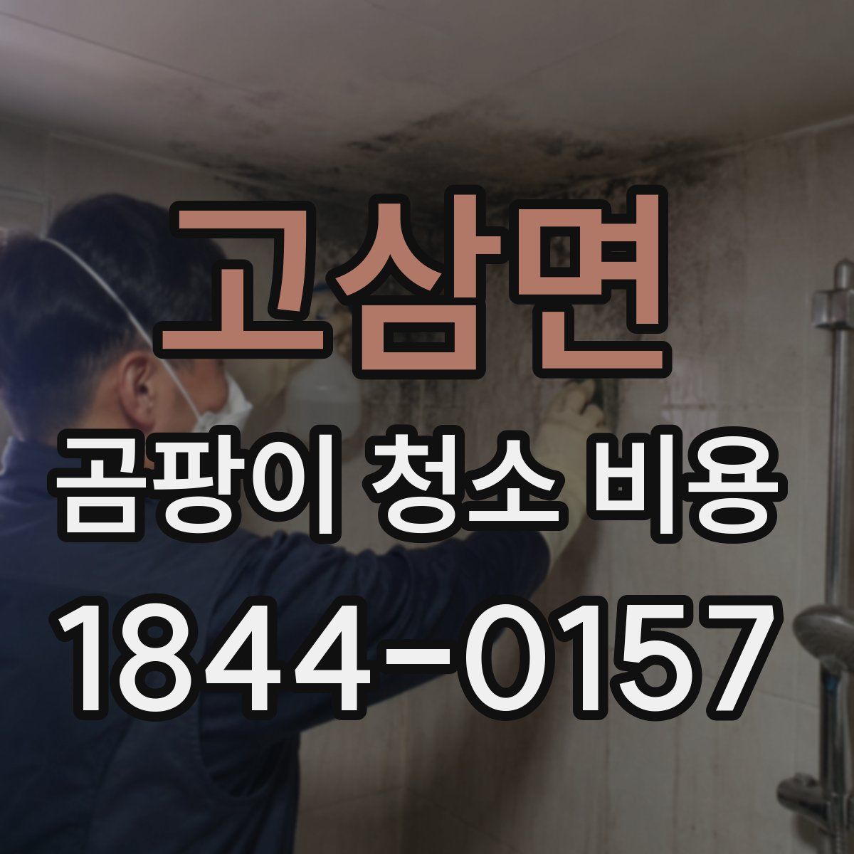 고삼면 곰팡이 청소 비용