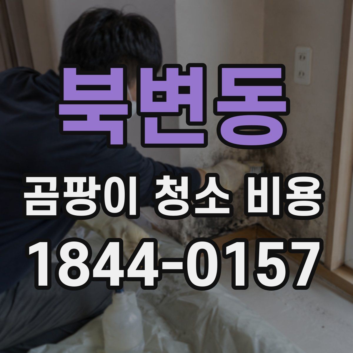 북변동 곰팡이 청소 비용 벽지 손상 여부에 따라 달라지는 견적 요소
