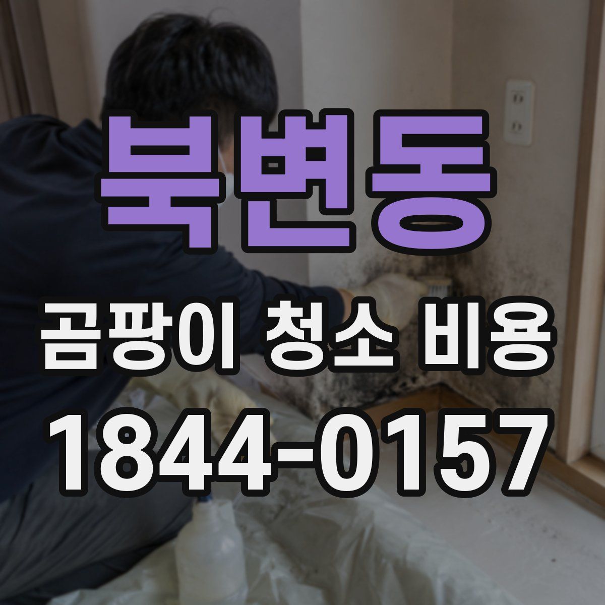 북변동 곰팡이 청소 비용