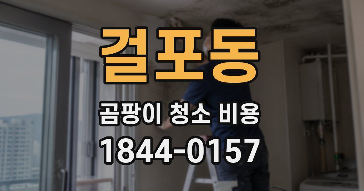 걸포동 곰팡이 청소 비용