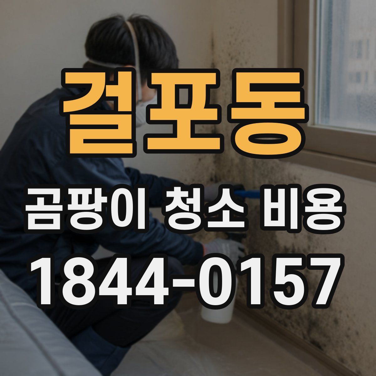 걸포동 곰팡이 청소 비용