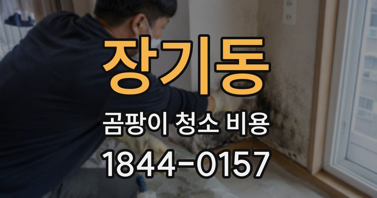 장기동 곰팡이 청소 비용
