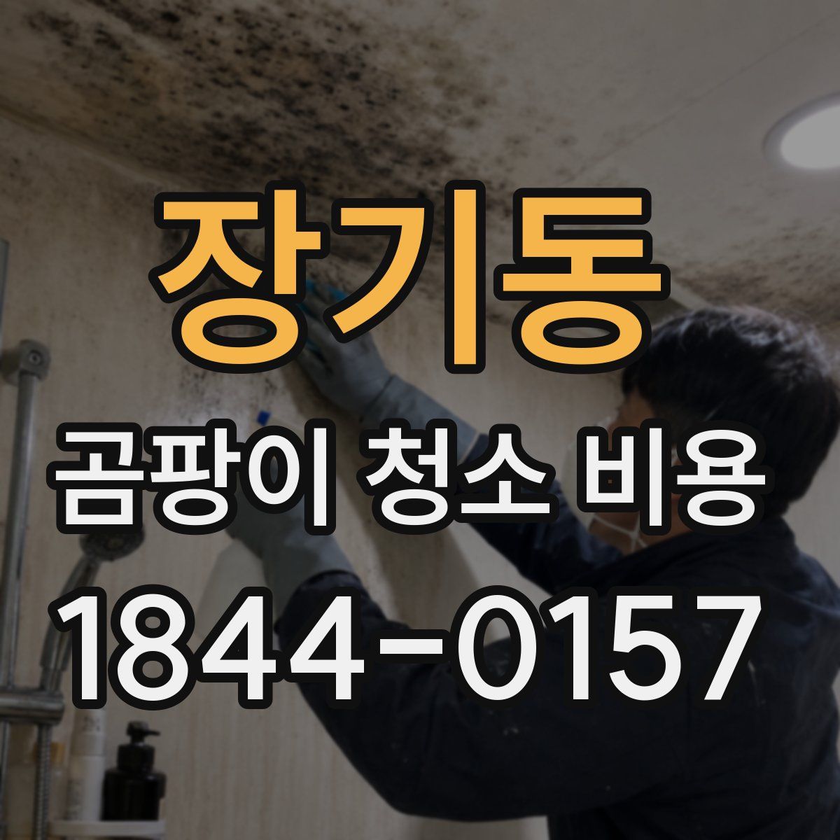 장기동 곰팡이 청소 비용