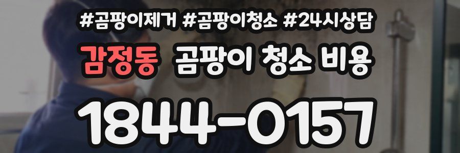 감정동 곰팡이 청소 비용