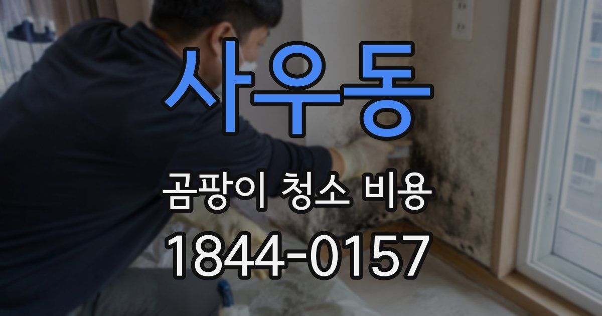사우동 곰팡이 청소 비용