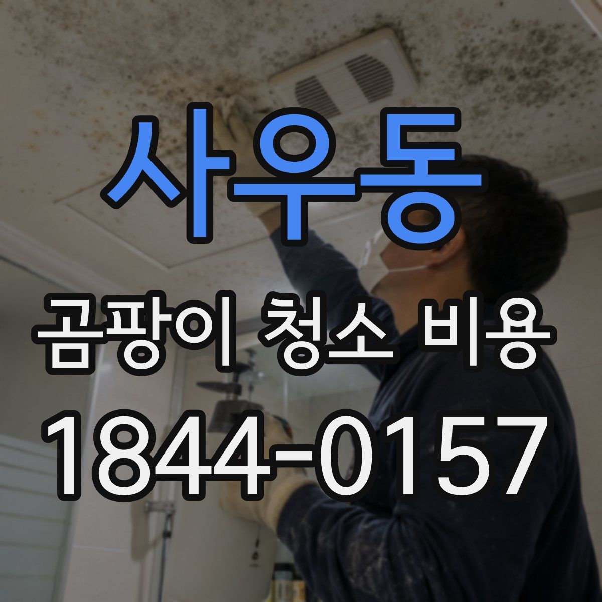 사우동 곰팡이 청소 비용