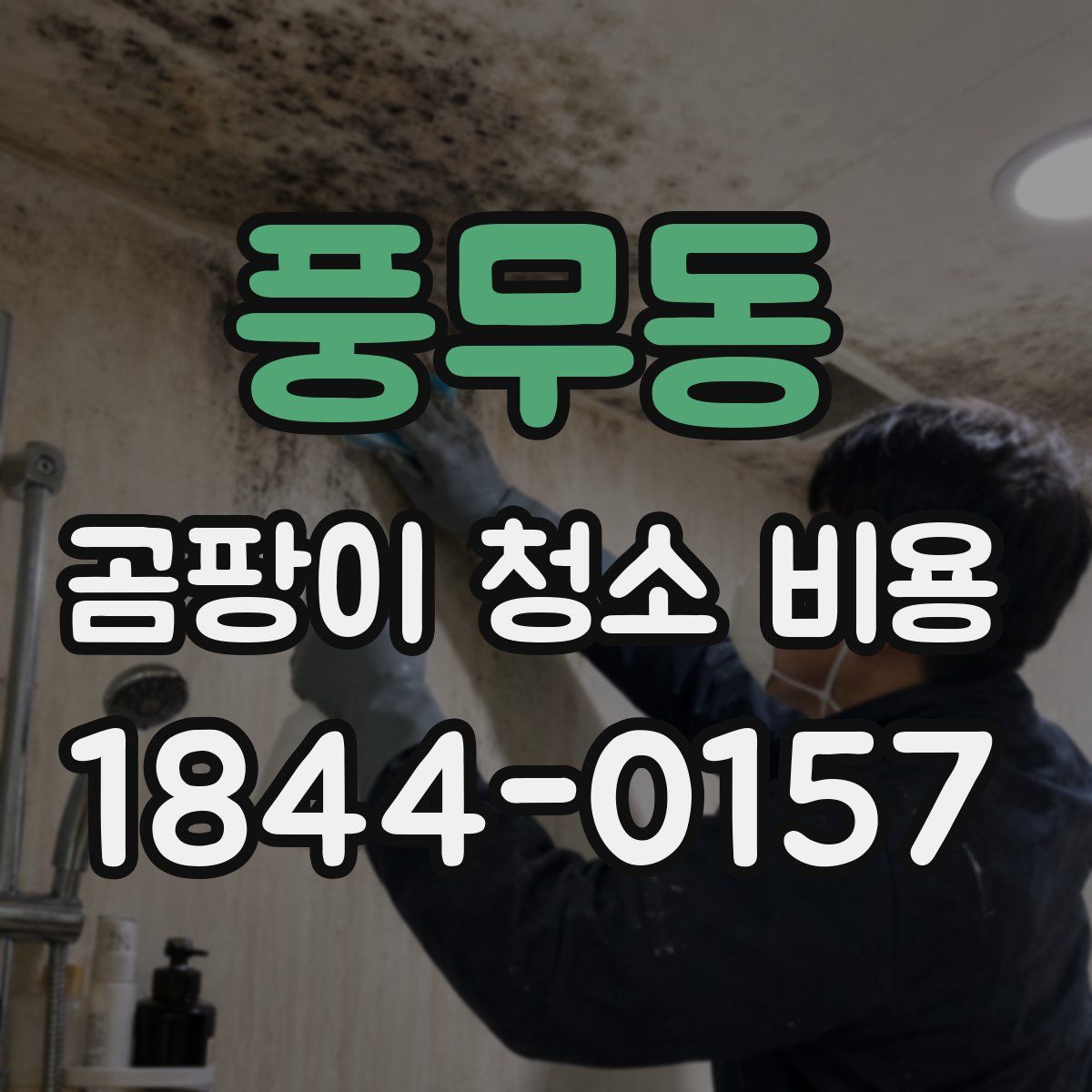 풍무동 곰팡이 청소 비용