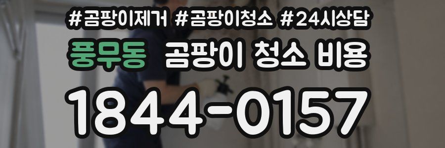 풍무동 곰팡이 청소 비용
