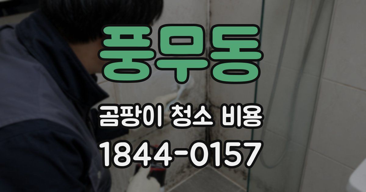 풍무동 곰팡이 청소 비용