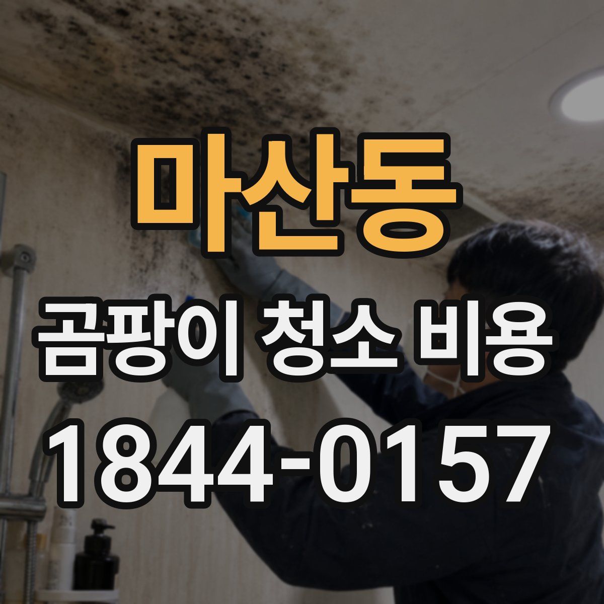 마산동 곰팡이 청소 비용