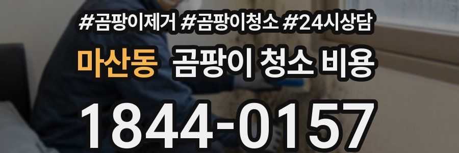 마산동 곰팡이 청소 비용