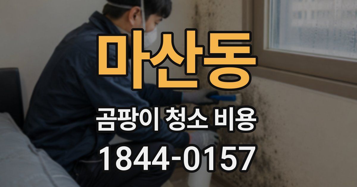 마산동 곰팡이 청소 비용