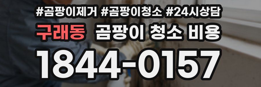 구래동 곰팡이 청소 비용
