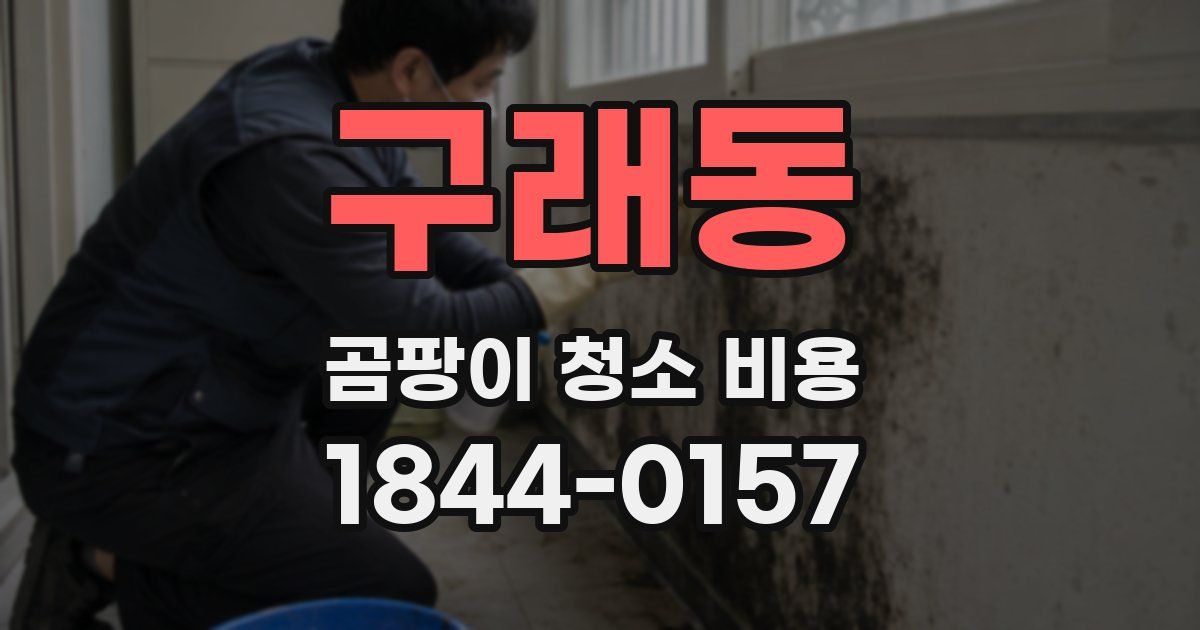구래동 곰팡이 청소 비용