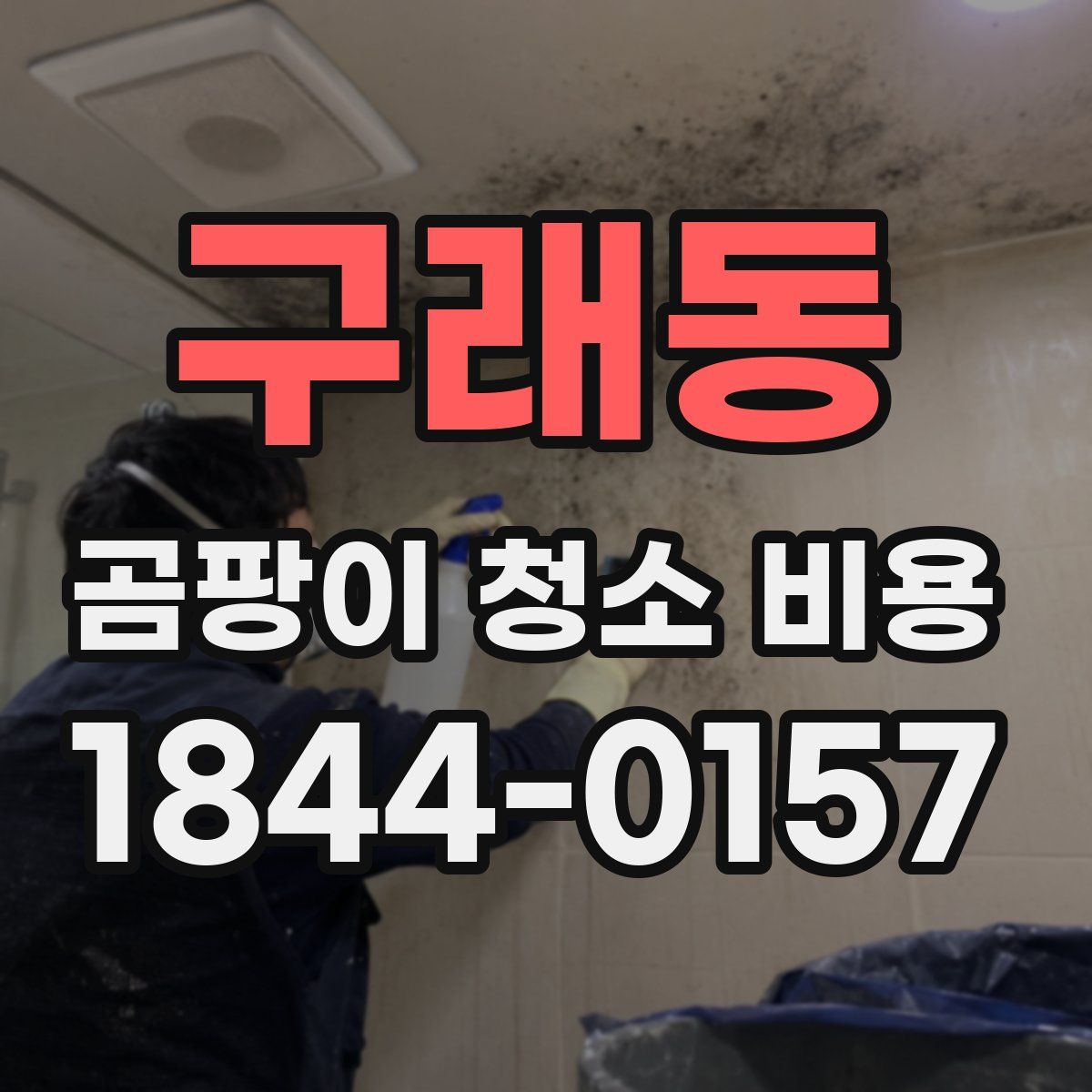 구래동 곰팡이 청소 비용