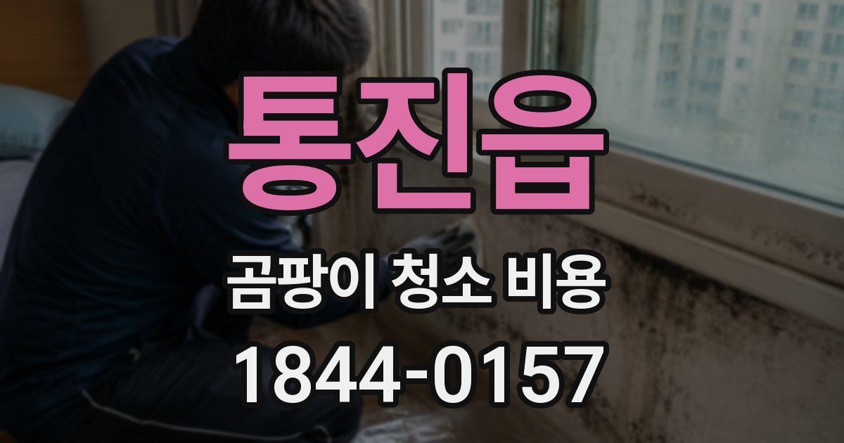 통진읍 곰팡이 청소 비용