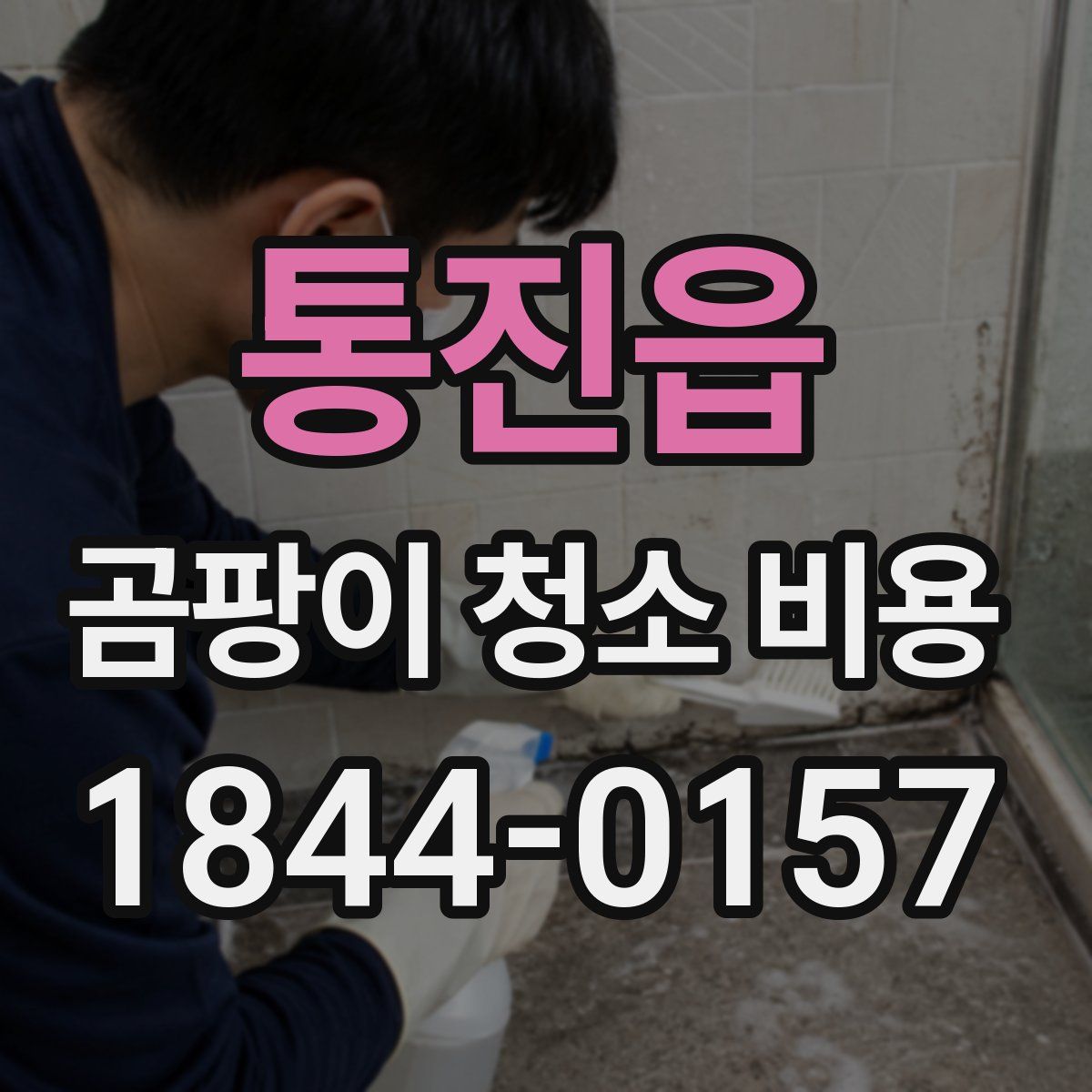 통진읍 곰팡이 청소 비용