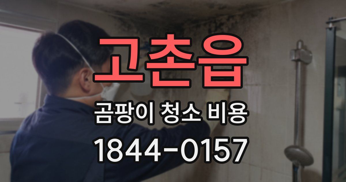 고촌읍 곰팡이 청소 비용