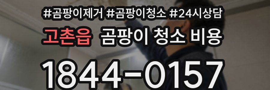 고촌읍 곰팡이 청소 비용